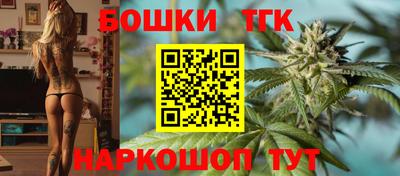Альфа ПВП Можга