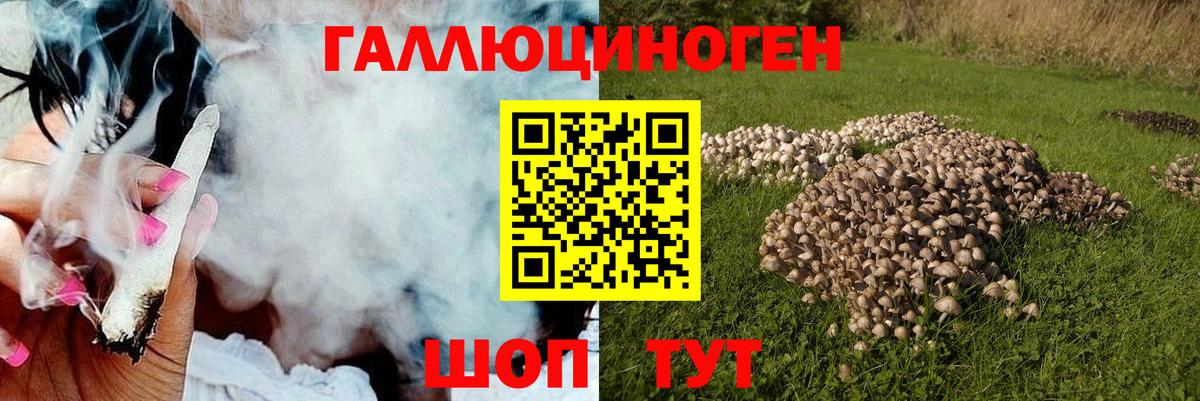 Севастополь  Псилоцибиновые грибы ЛСД  Галлюциногенные грибы Cubensis  Вход с VPN 