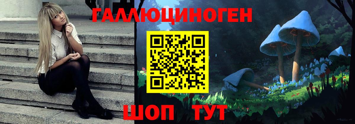 Псилоцибиновые грибы Cubensis Севастополь